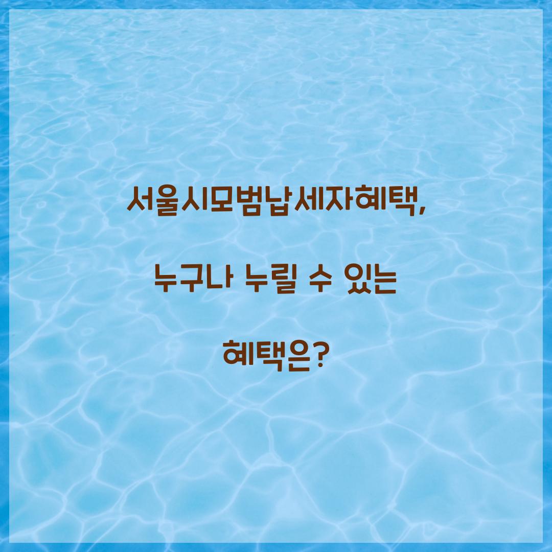 서울시모범납세자혜택