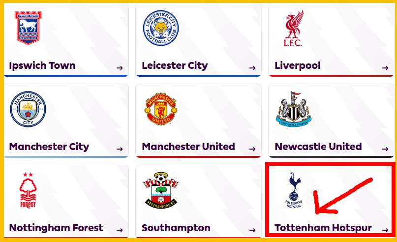 https://www.premierleague.com/clubs