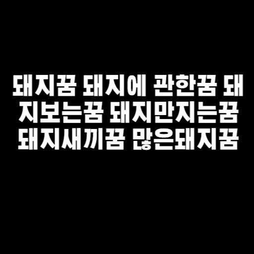돼지꿈 돼지에 관한꿈 돼지보는꿈 돼지만지는꿈 돼지새끼꿈 많은돼지꿈