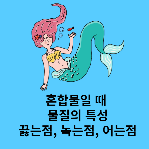 바닷물