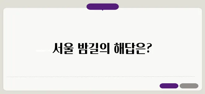 서울 심야 버스 노선도