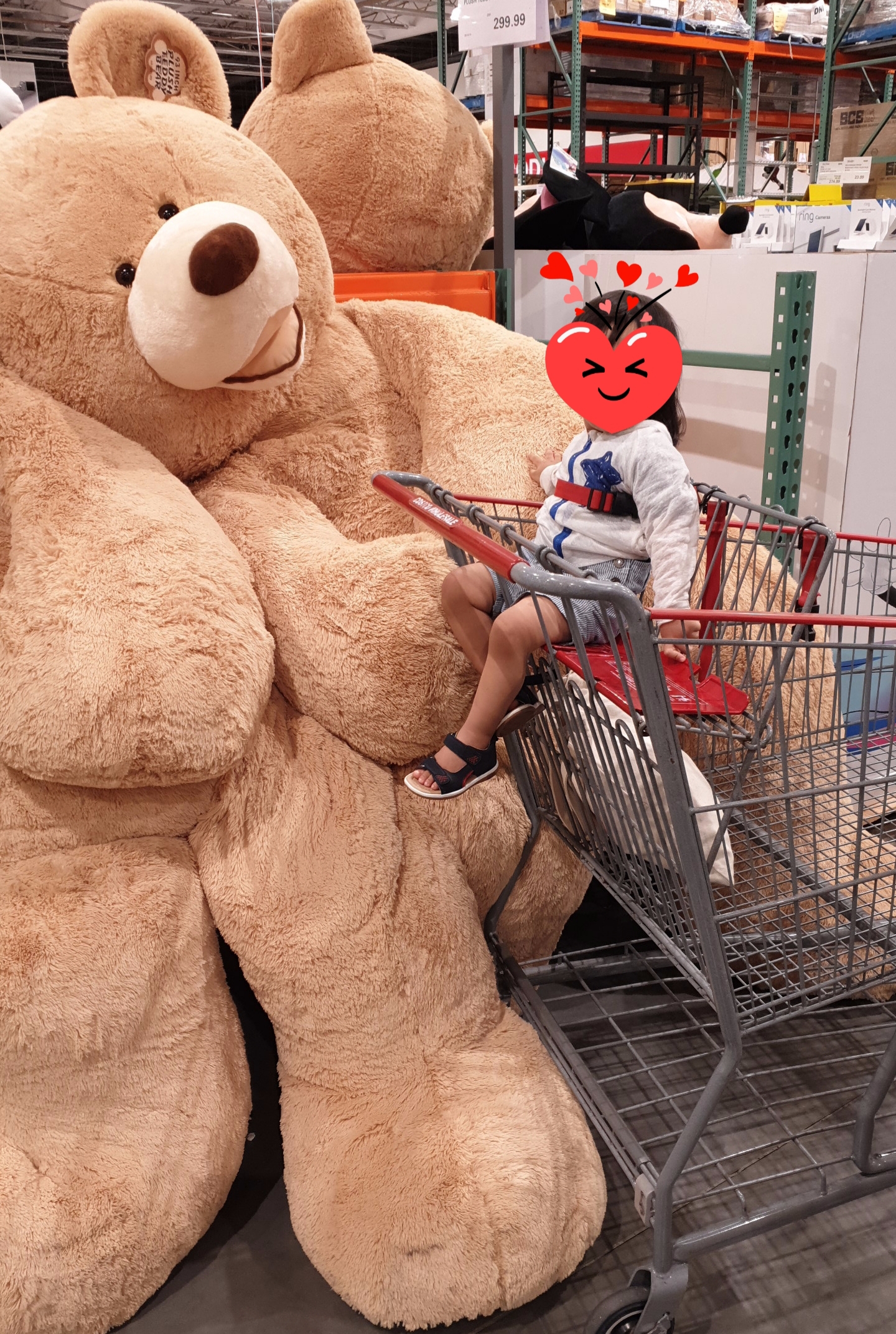  브리즈번 입스위치 코스트코 나들이