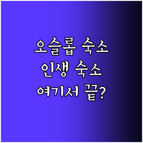 오슬롭 숙소 Top5! 인생 숙소 여
