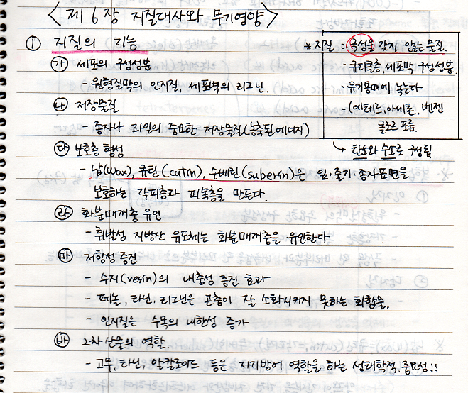  [수목생리학] 지질의 기능