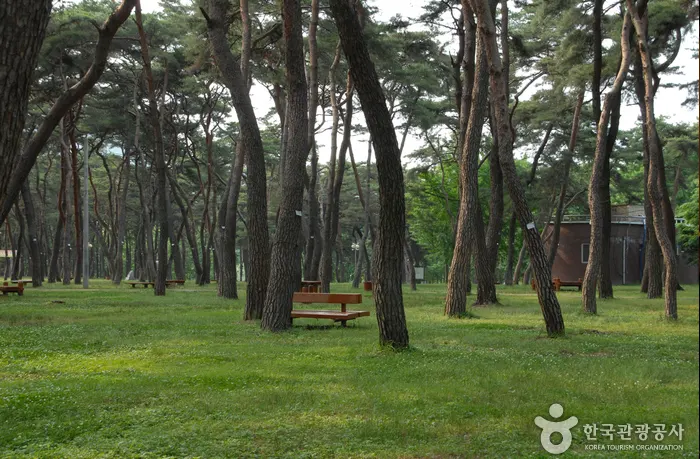 송호 국민관광지 전경 이미지