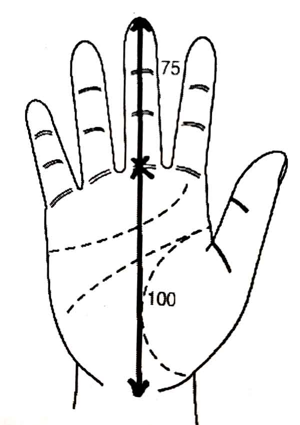 손바닥 손가락 비율표시