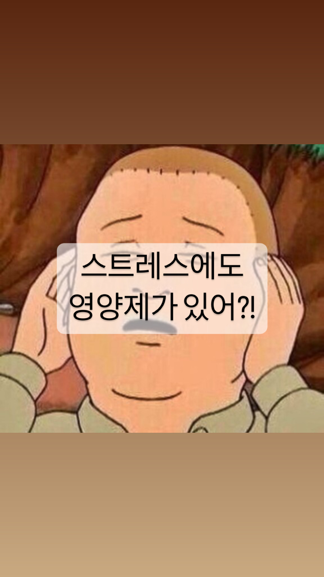  [건강] 스트레스에도 영양제가 있어?