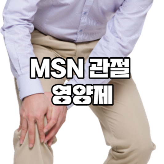 MSN관절영양제