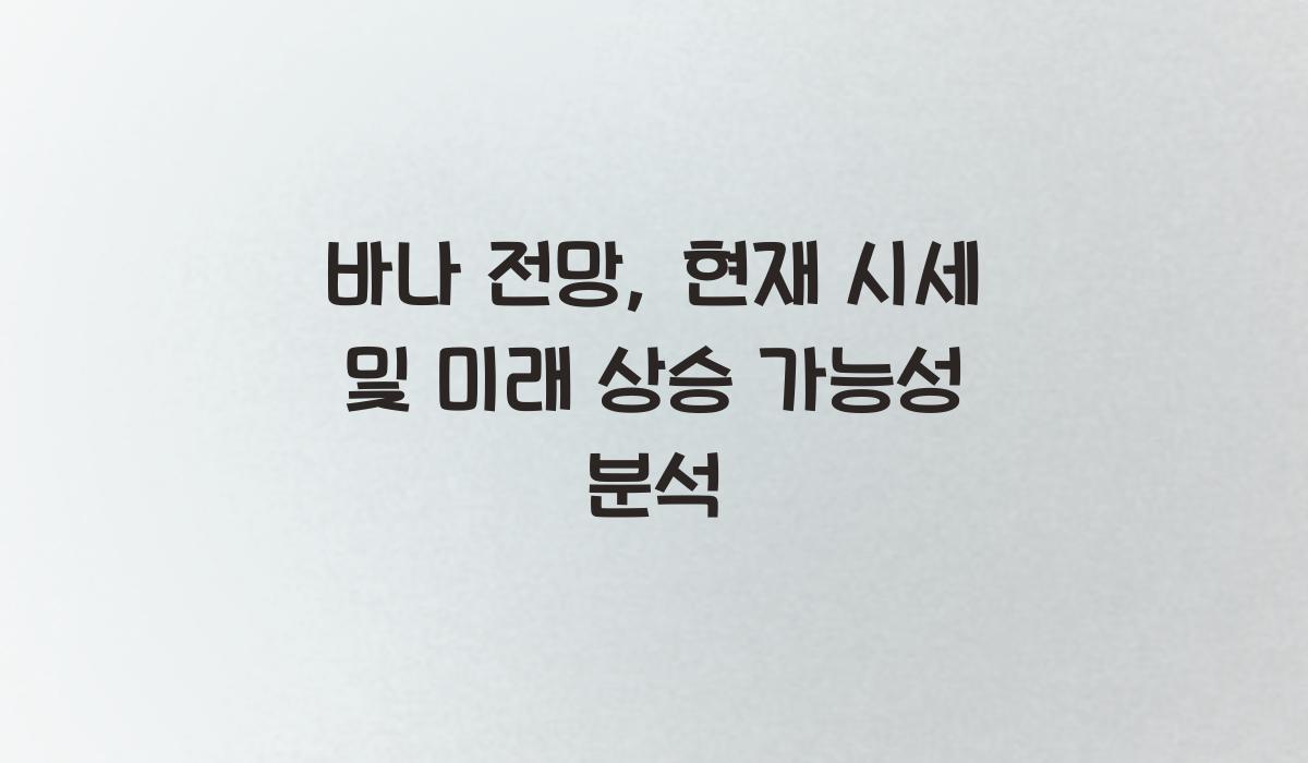 바나 전망