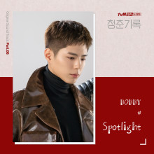  청춘기록 ost 'BOBBY - Spotlight' 드라마를 보다 노래에 빠지다.