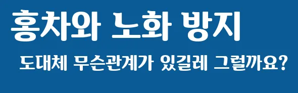 홍차와 노화 방지 도대체 무슨관계가 있길레 그럴까요?