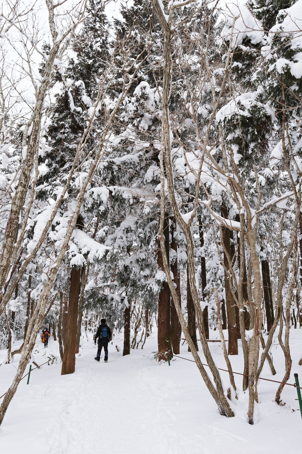눈쌓인 겨울산 이미지 23