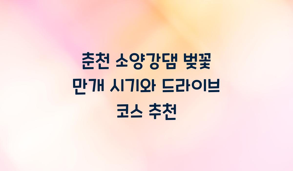 춘천 소양강댐 벚꽃 만개 시기