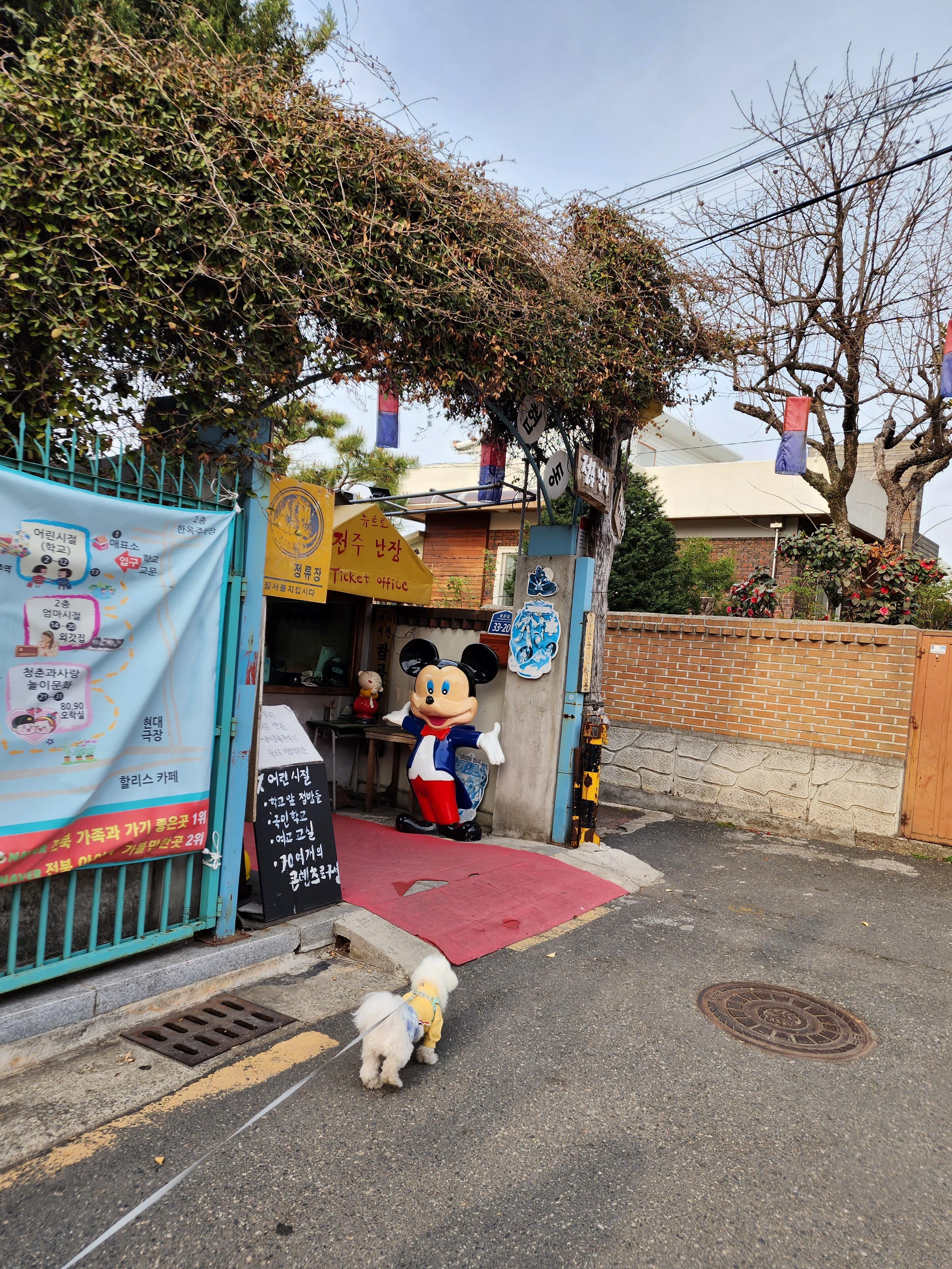 전주 애견동반 갈만한 곳 전주난장