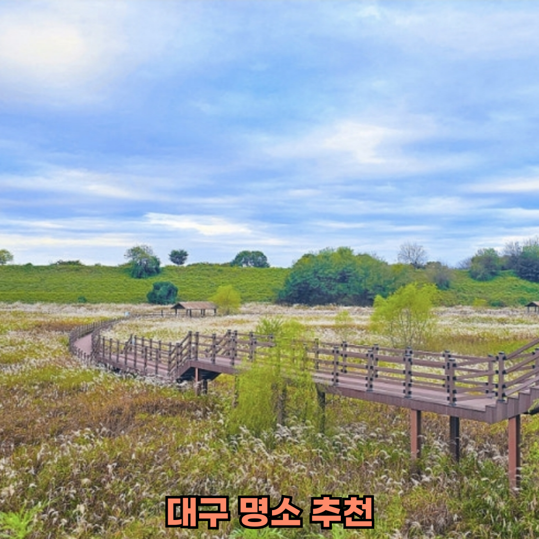 대구 핫플 봄 관광지 VS 숨은 명소 