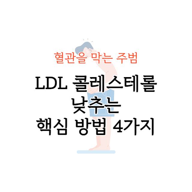 LDL 콜레스테롤 낮추는 방법