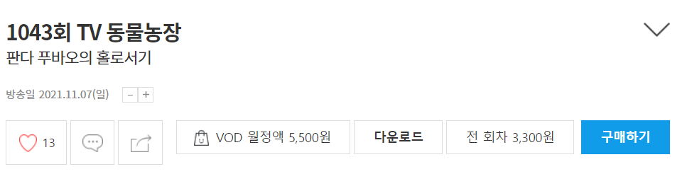 동물농장 다시보기 동물농장 다시보기