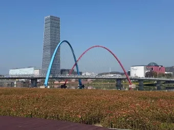 대전 가볼만한곳 베스트 10 성심당 딸기시루_17