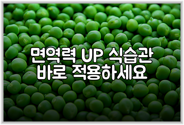 면역력 UP 식습관 바로 적용하세요