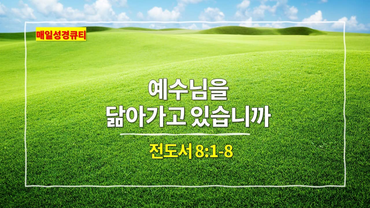 전도서 8장 1절-8절&#44; 예수님을 닮아가고 있습니까 - 매일성경큐티 새벽설교