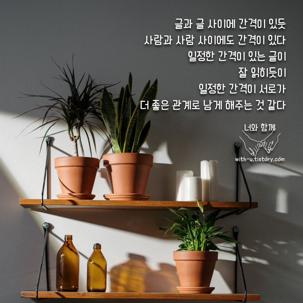  간격 명언 : 짧고 좋은 글귀 : 짧은 명언