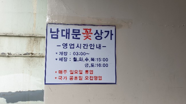 꽃다발 가격과 영업시간~ [졸업 시즌]남대문 꽃시장 12