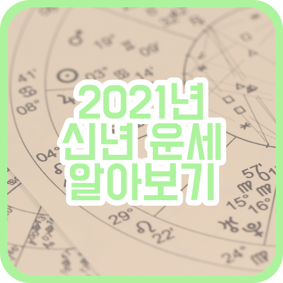  2021년 신축년의 의미와 띠별 운세!
