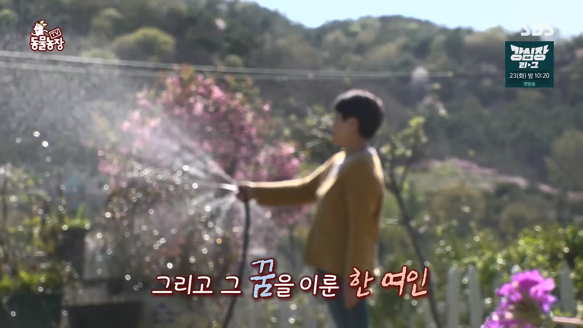 TV 동물농장.E1120.230514p.H264-F1RST.mp4_20230515_203523.821.jpg