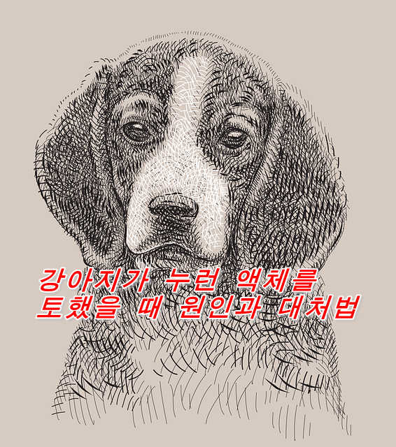  강아지가 누런 액체를 토했을 때 원인과 대처법