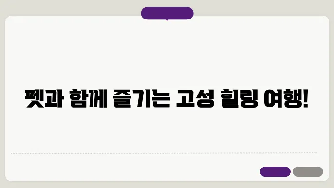 고성 애견동반 펜션