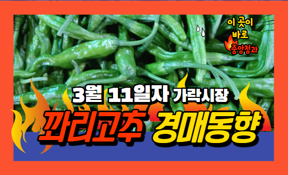  [제22회 경매사 기출문제 풀이 - 농안법(2)] 농안법은 특별하다! 고로 항상 우선시 된다~