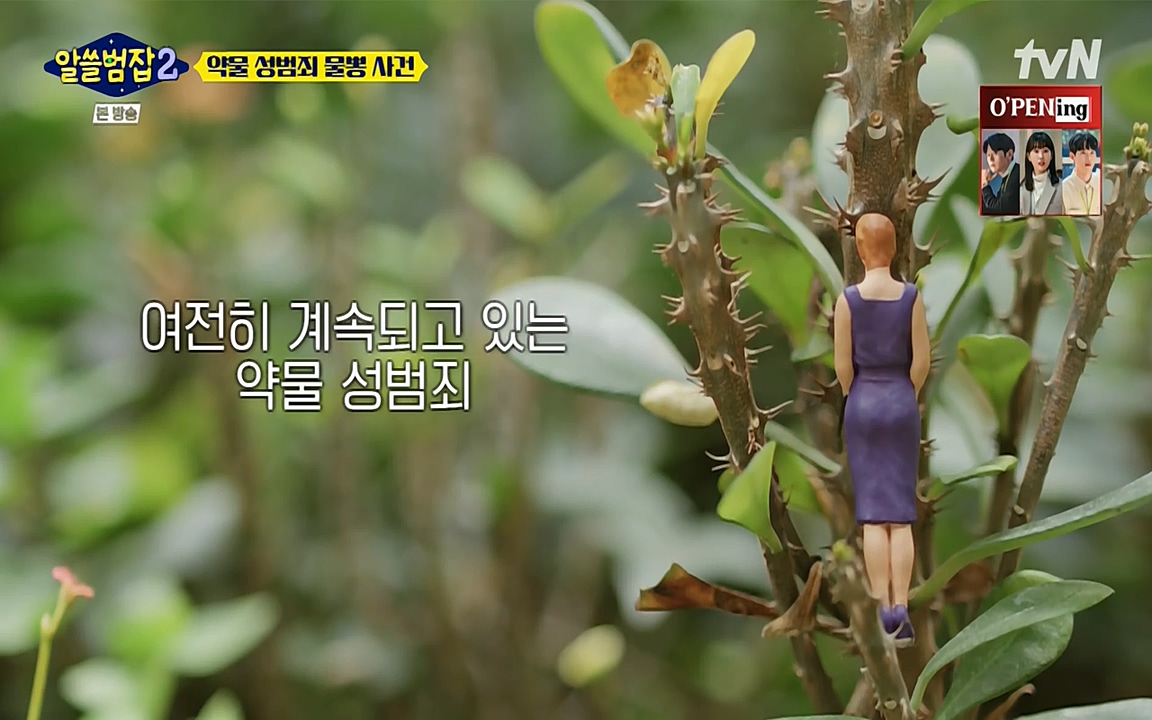 알쓸범잡 2.E15.220425p-NEXT.mp4_20220425_192148.447.jpg