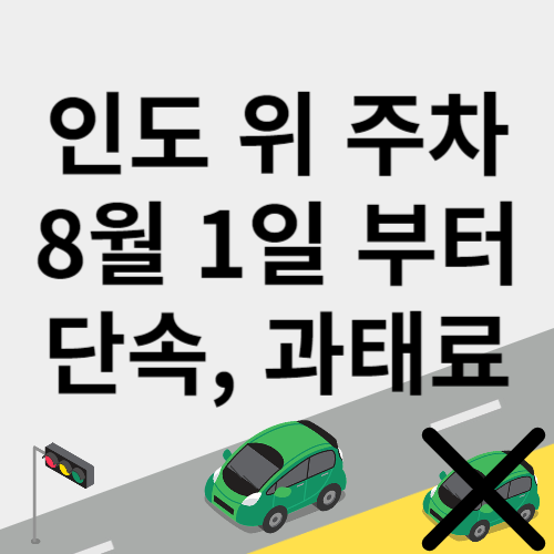 인도주차단속 인도불법주정차 인도불법주차