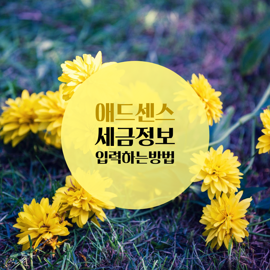  구글 애드센스 세금정보 입력하기, 미 입력시 24% 추가 공제