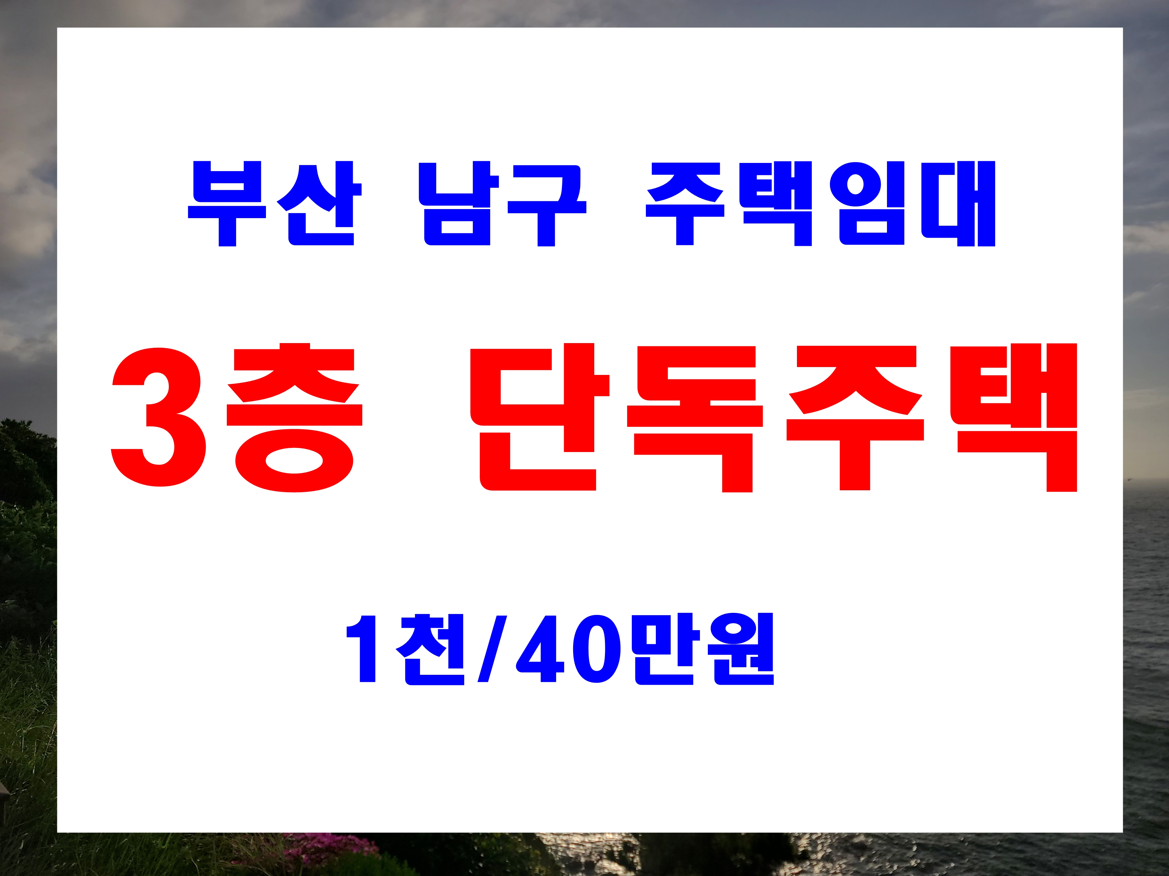  부산 남구 대연동 감만동 우암동 주택 월세 싼집 정보 임대 기간은 2년