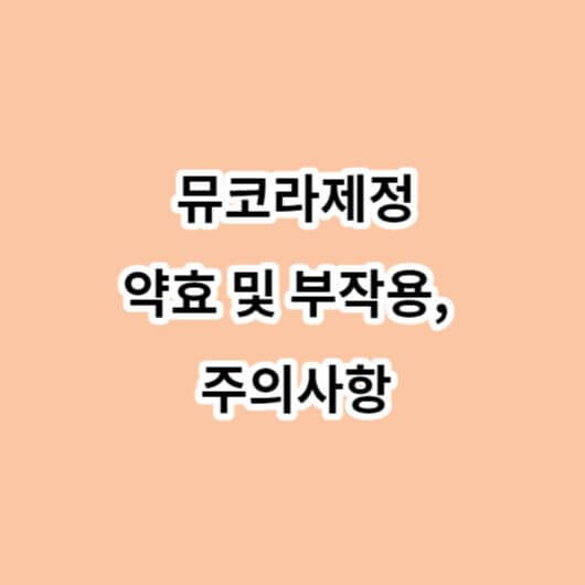 뮤코라제정-약효-부작용-주의사항