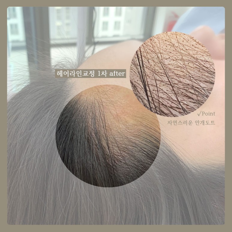 선헤어모드 이미지