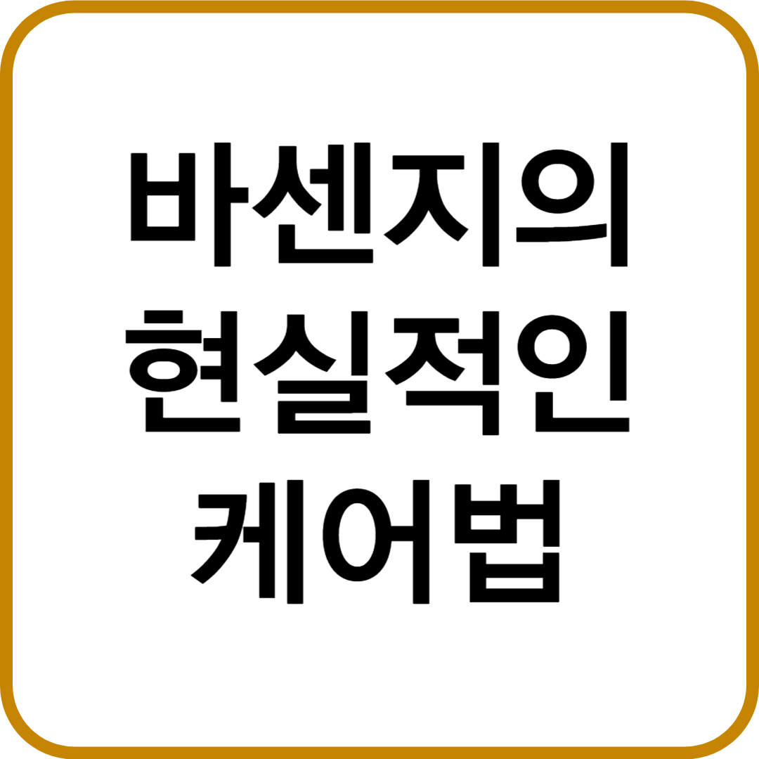 바센지의 현실적인 케어법