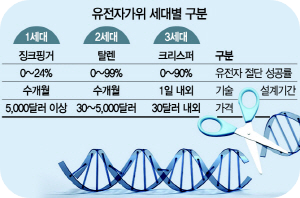 유전자31