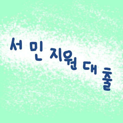  서민지원 특별 대출(정부지원)