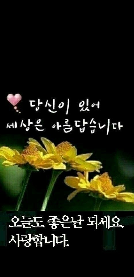  오늘의 좋은글 196번째 부정적언어 긍정적언어