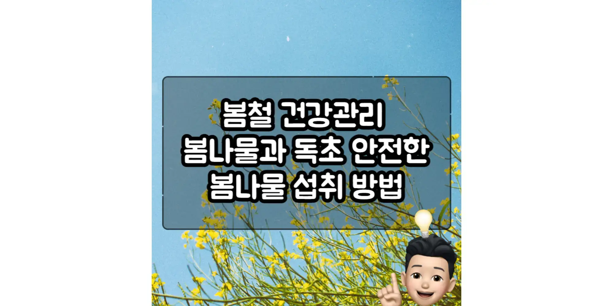  봄철 건강관리 봄나물과 독초 안전한 봄나물 섭취 방법