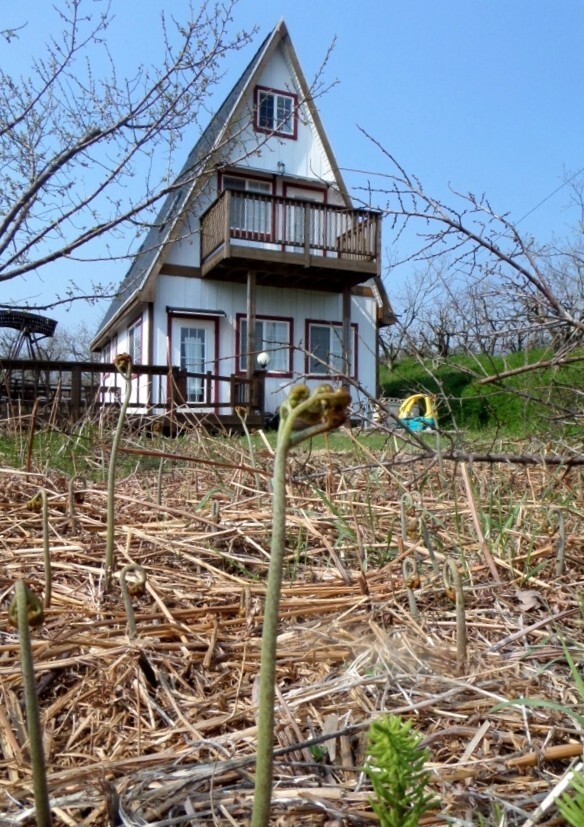 세모지붕 이미지