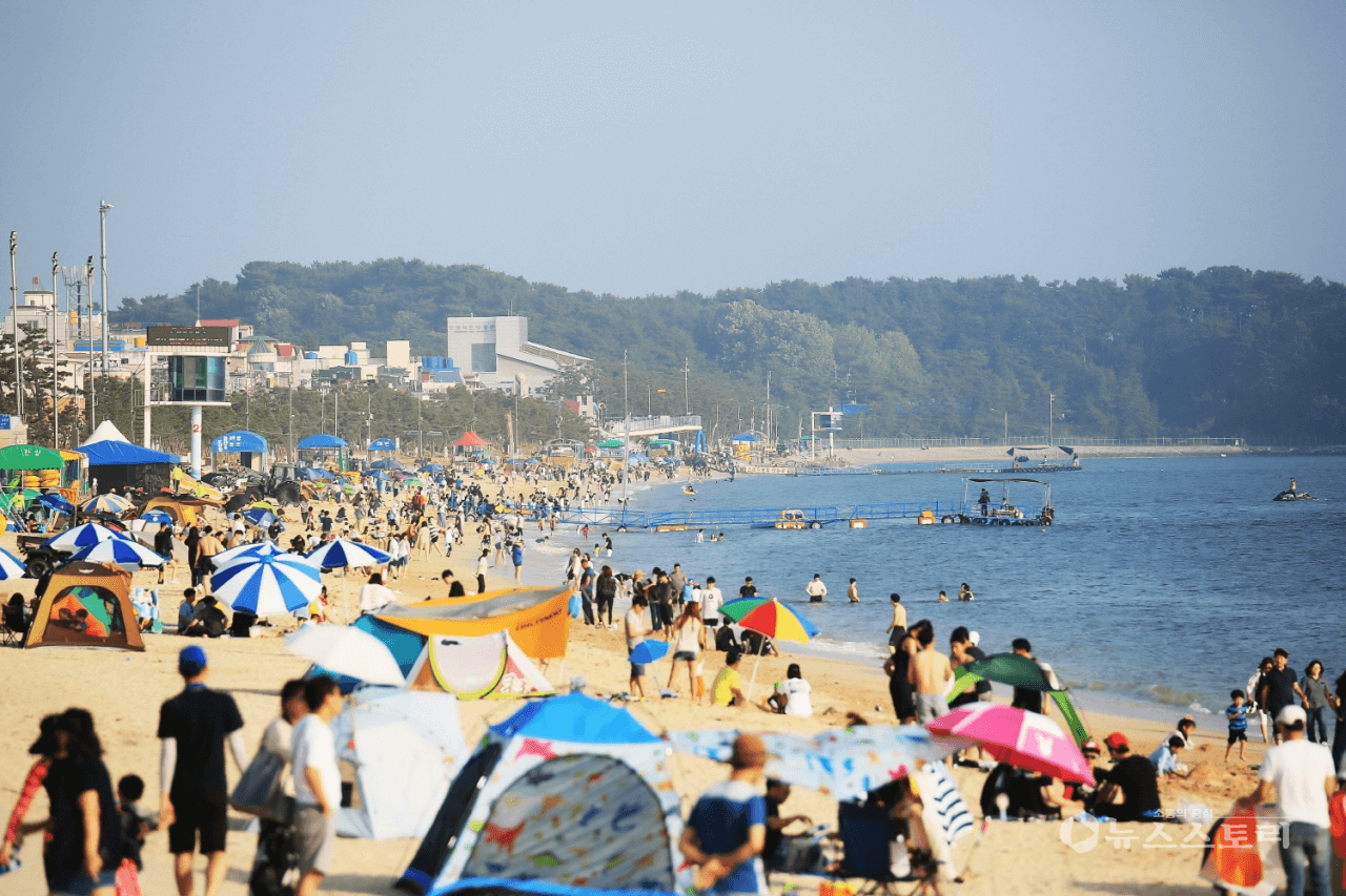 2025 전국 해수욕장 개장일 폐장일 교통