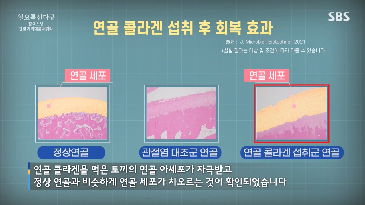일요특선 다큐멘터리.E343.231127p-NEXT.mp4_20231126_172749.261.jpg