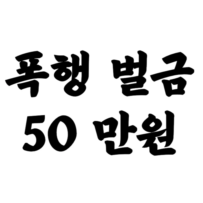 폭행 벌금 50 만원