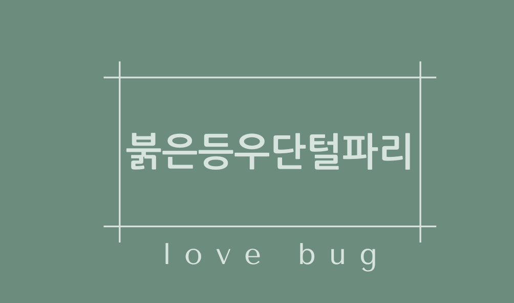 붉은등우단털파리(love bug)