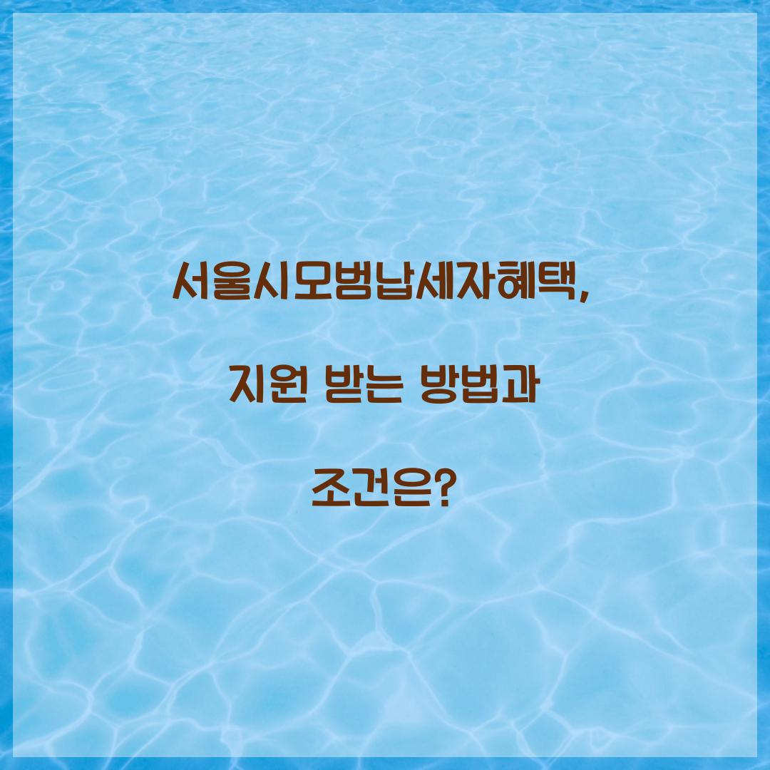 서울시모범납세자혜택