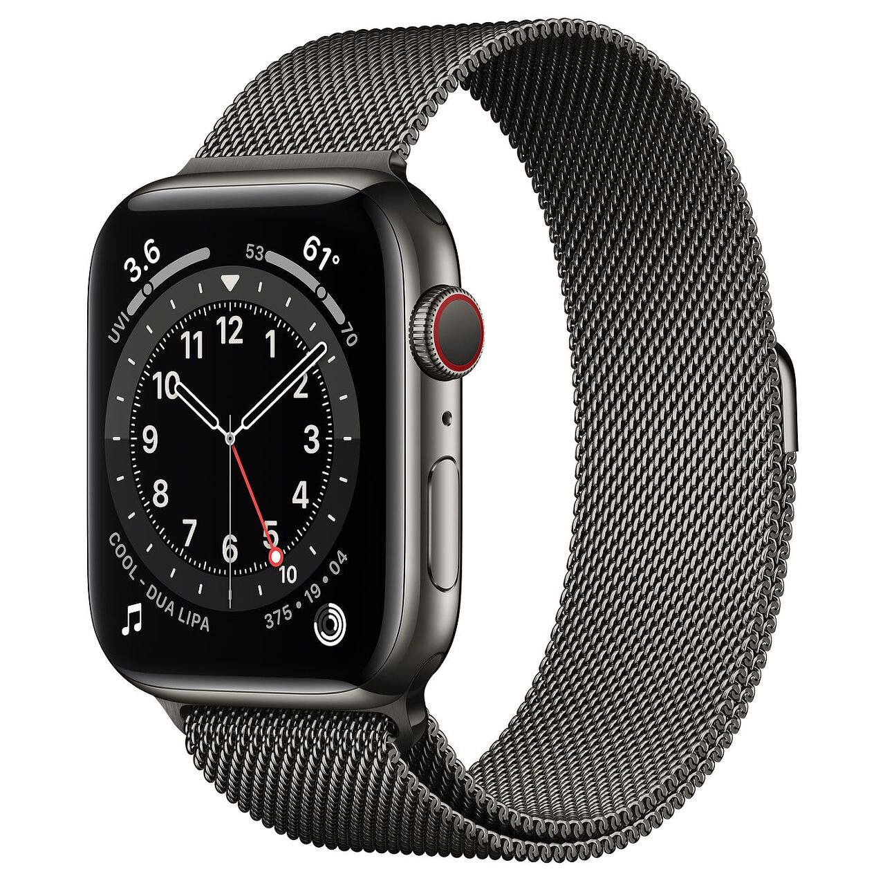 Apple 2020년 애플워치 6 GPS + 셀룰러 44mm, 그래파이트 스테인리스 스틸(케이스), 그래파이트 (밀레니즈 루프)