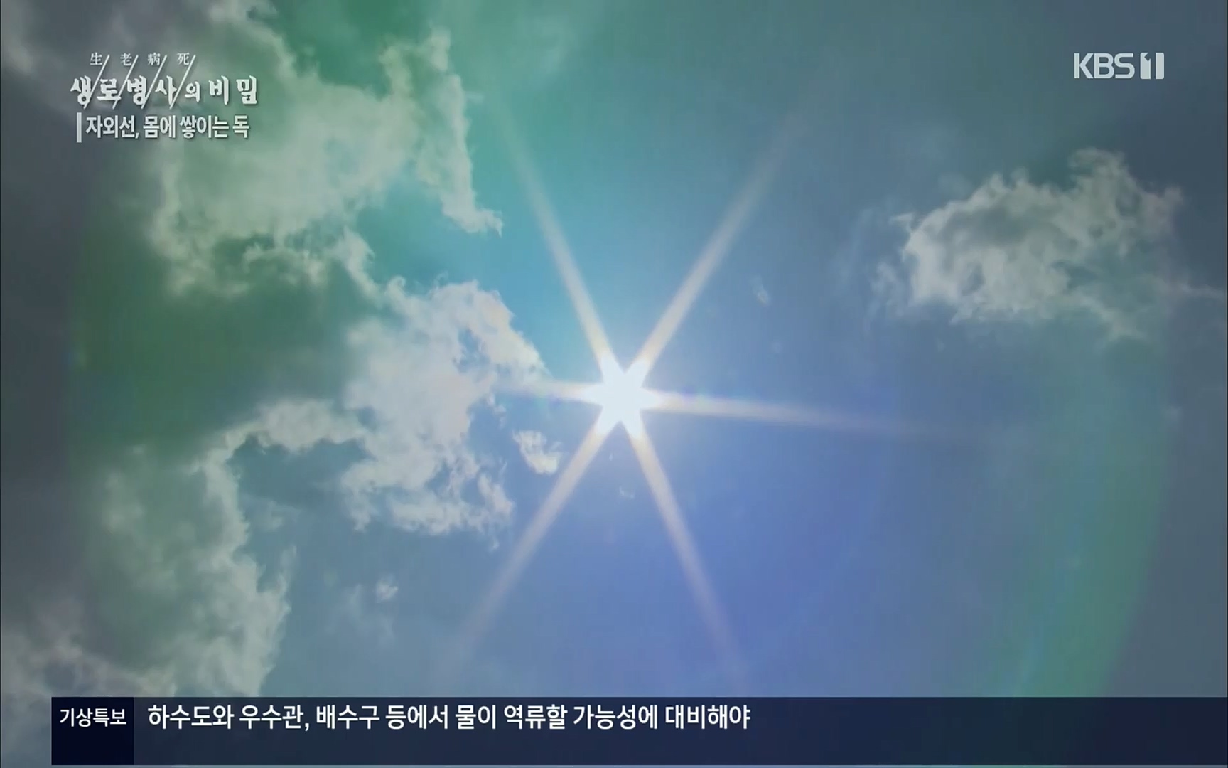 생로병사의 비밀.E824.220629p.H264-F1RST.mp4_20220630_205909.916.jpg